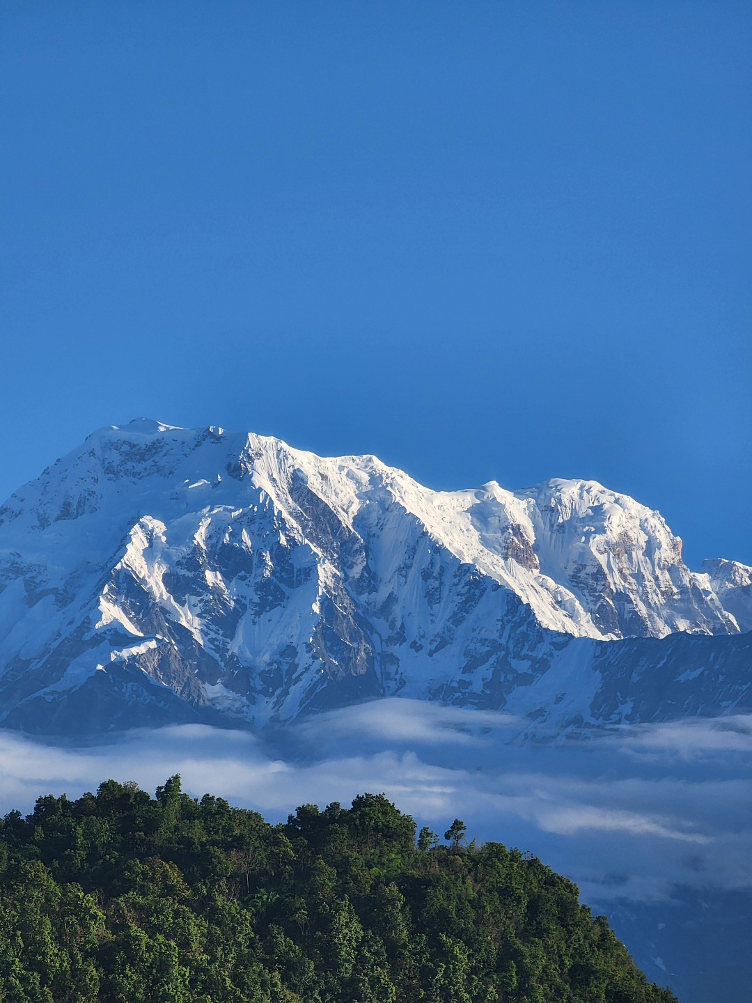 Postcard from The Himalayas! 💙 #annapurnasouth