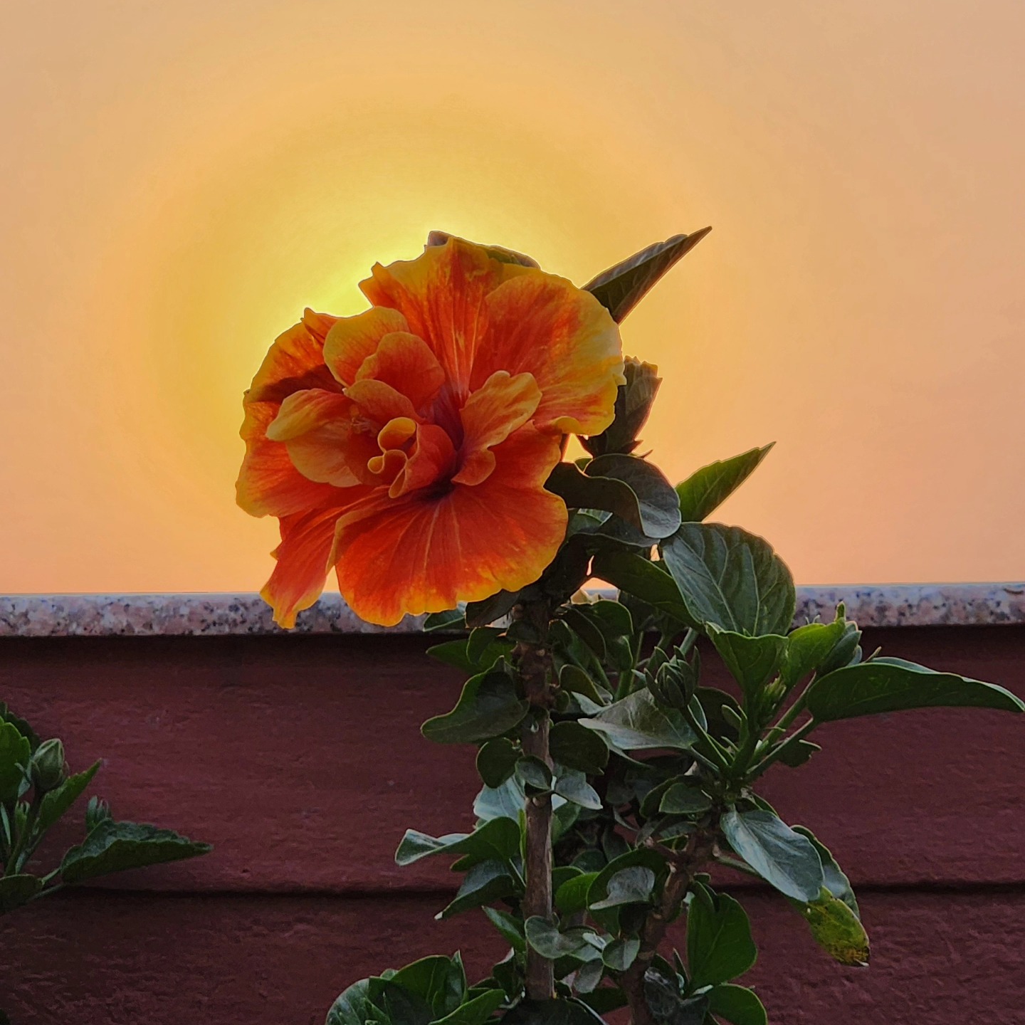 #sukoon #chasingSunsets #ghar