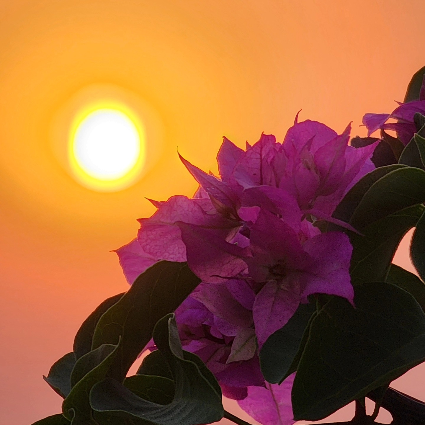 #sukoon #chasingSunsets #ghar
