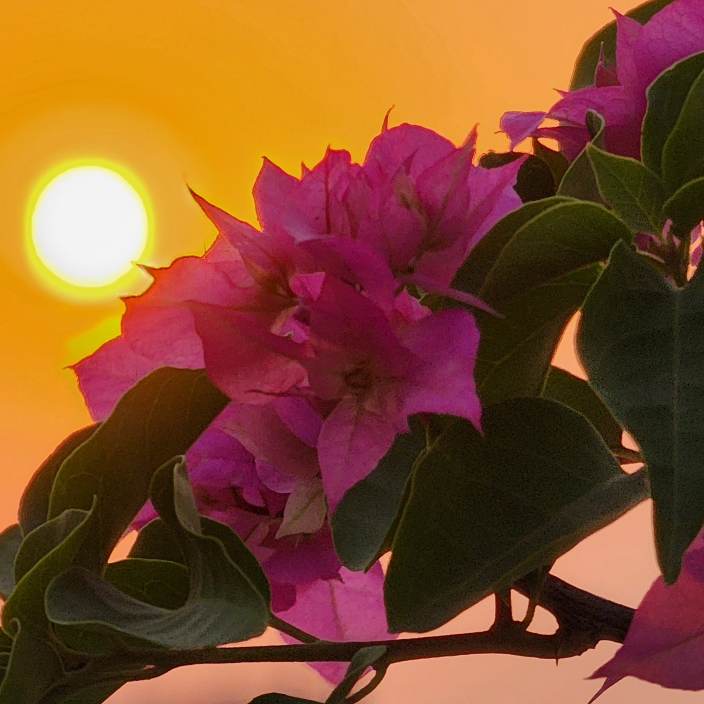#sukoon #chasingSunsets #ghar
