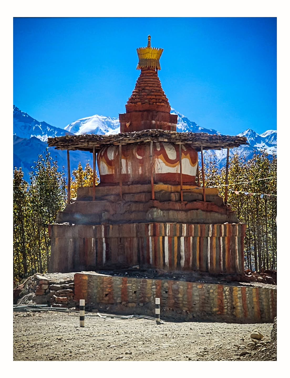#uppermustang